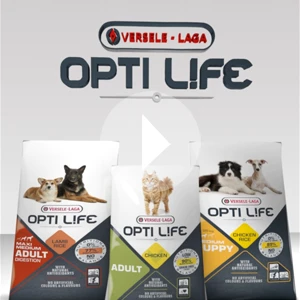 Annonce Optilife