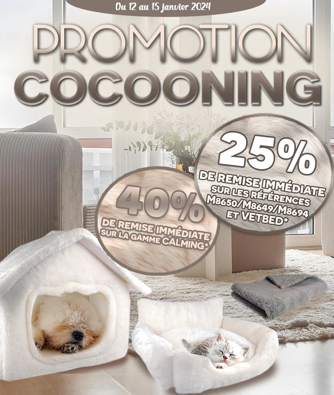 Newsletter cocooning