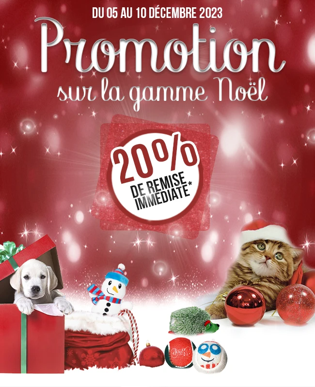 Newsletter Noël